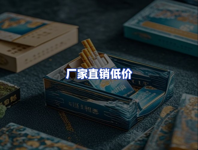 专业团队